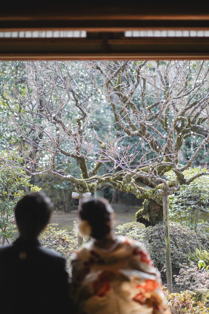 外の景色を見ながら…