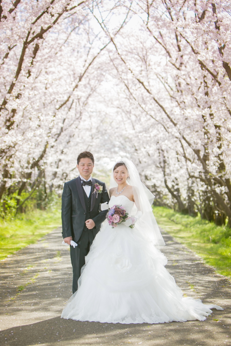 桜並木のもとで