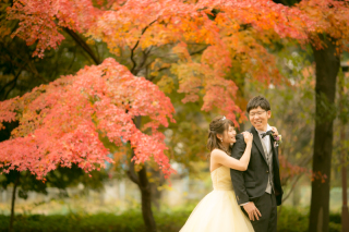 洋装★ロケーション2点プラン