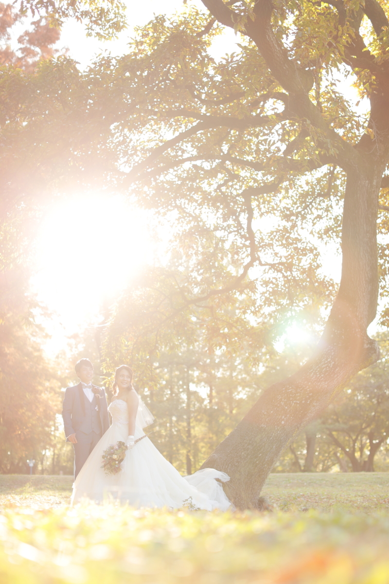 *周りの葉っぱなどが反射してキラキラ