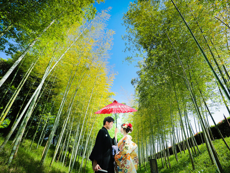 和の風情感じる竹林での撮影も！