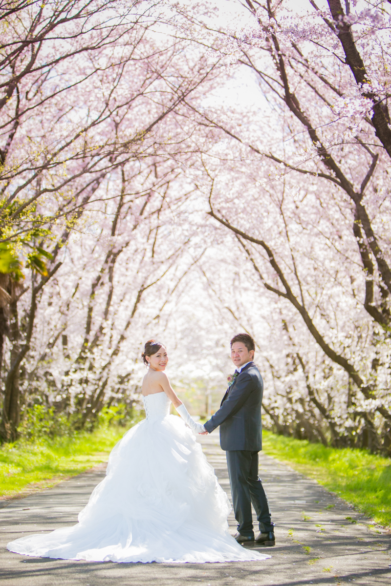 心躍る季節の景色。春は桜と一緒に!