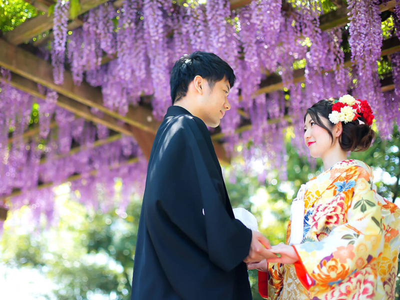 写真が華やぐ四季折々の自然の彩り