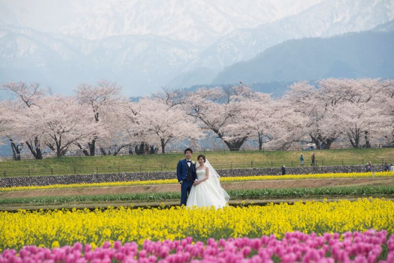 山、桜並木、チューリップ、菜の花の四重奏