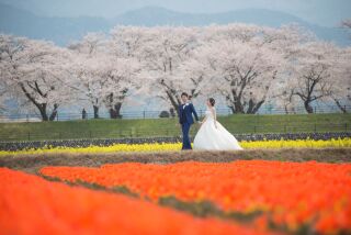 富山ならではの風景　春の四重奏