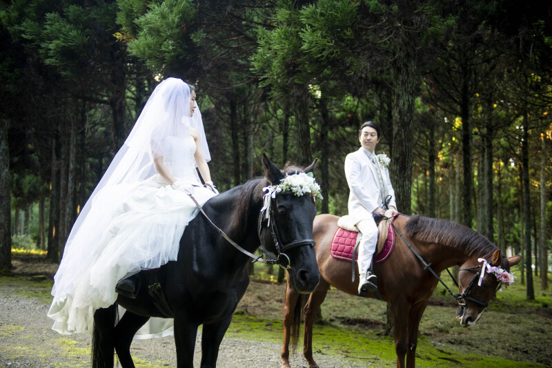 WEDDING SCENE WARAKU