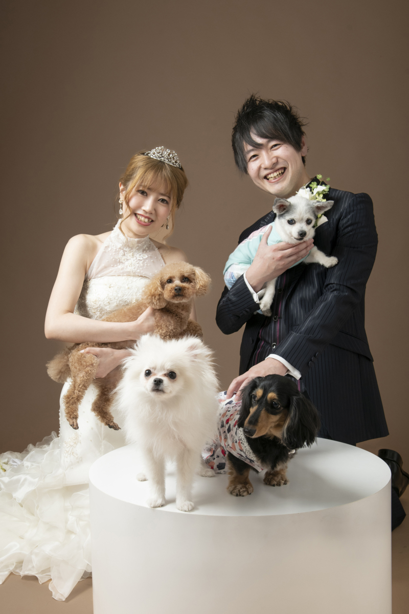 ペットと一緒にフォトウェディング♡【スタジオ洋装1点】データ付プラン