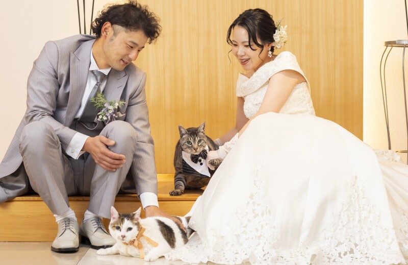ペットと一緒にフォトウェディング♡【スタジオ洋装1点】データ付プラン