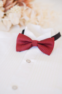 蝶ネクタイ＊レッドチェック