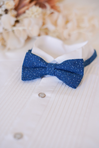 蝶ネクタイ＊ブルー