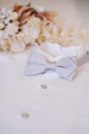 蝶ネクタイ＊ライトグレー