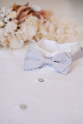 蝶ネクタイ＊ライトグレー