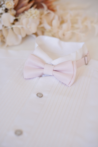 蝶ネクタイ＊ライトピンク