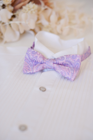 蝶ネクタイ＊パープルペイズリー