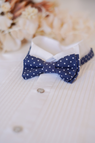 蝶ネクタイ＊ドット