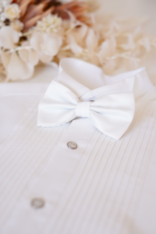 蝶ネクタイ＊ホワイトチェック