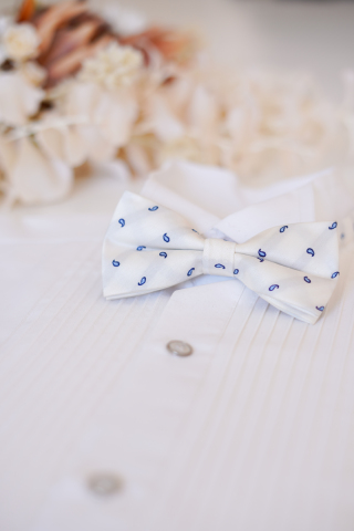 蝶ネクタイ＊ホワイトペイズリー