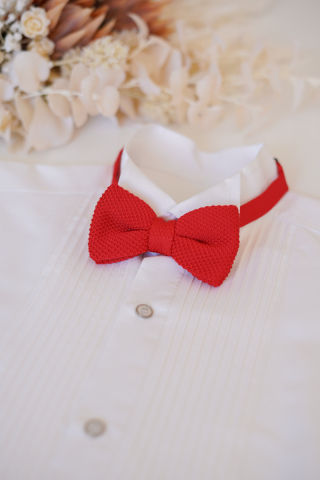 蝶ネクタイ＊レッドニット