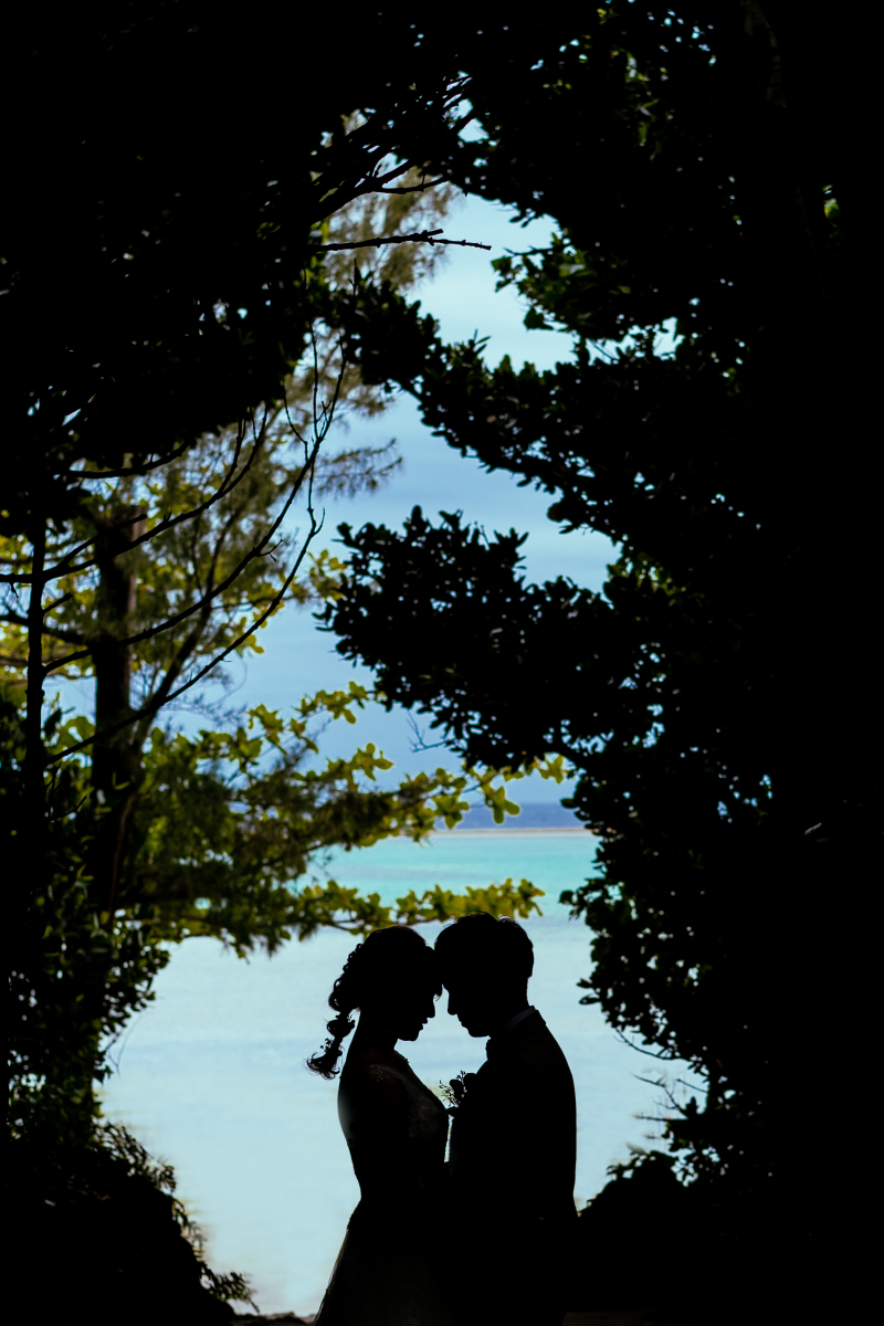 フクギを抜けた先に