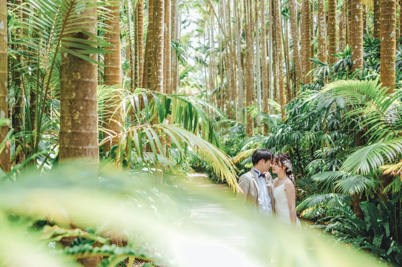 【ザネー浜プラン】ザネー浜、東南植物楽園