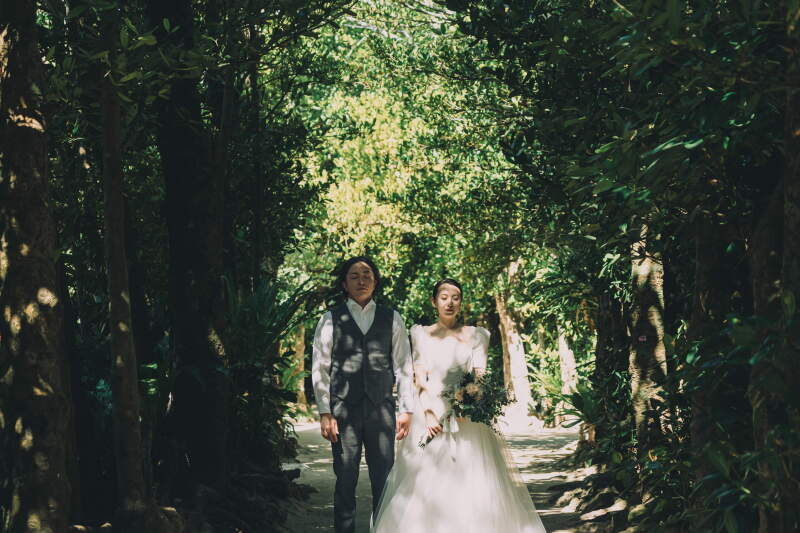 【フクギ並木プラン】フクギ並木、備瀬ビーチ