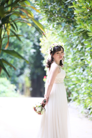 【グリーン撮影】フクギ並木　埼玉県　Ｋ様