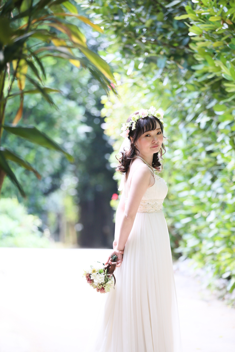 【グリーン撮影】フクギ並木　埼玉県　Ｋ様