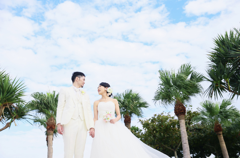 南国らしいヤシの木の中で