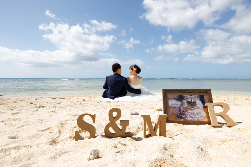 ＊愛猫も一緒に