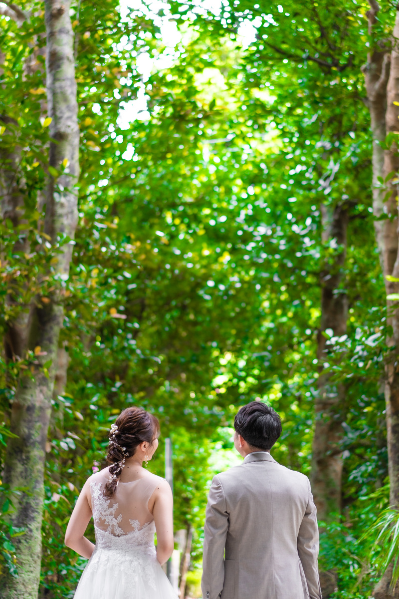 いざフクギ並木へ