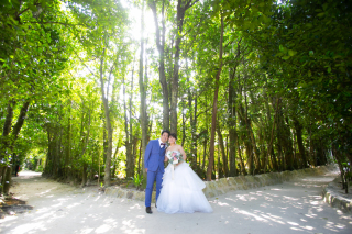 Fukugi＋Beach　Photo 2020.11.12