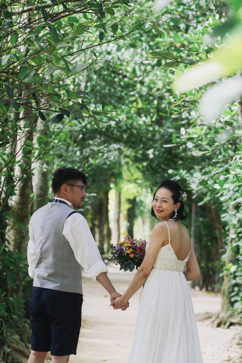 【グリーン撮影】フクギ並木　北海道　Ｔ様