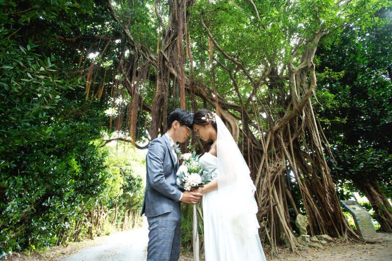 ＊フクギ並木＊