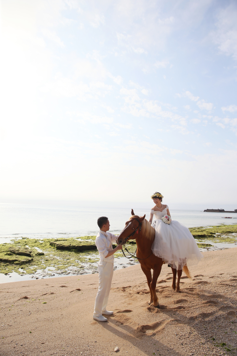 ホースライドオプション