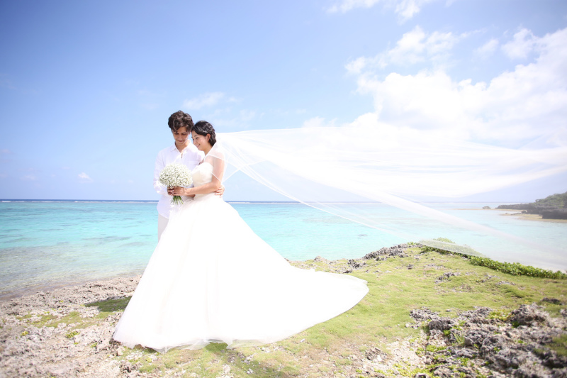 迫力のあるお写真！