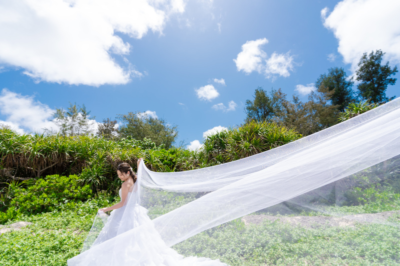 ベールショット