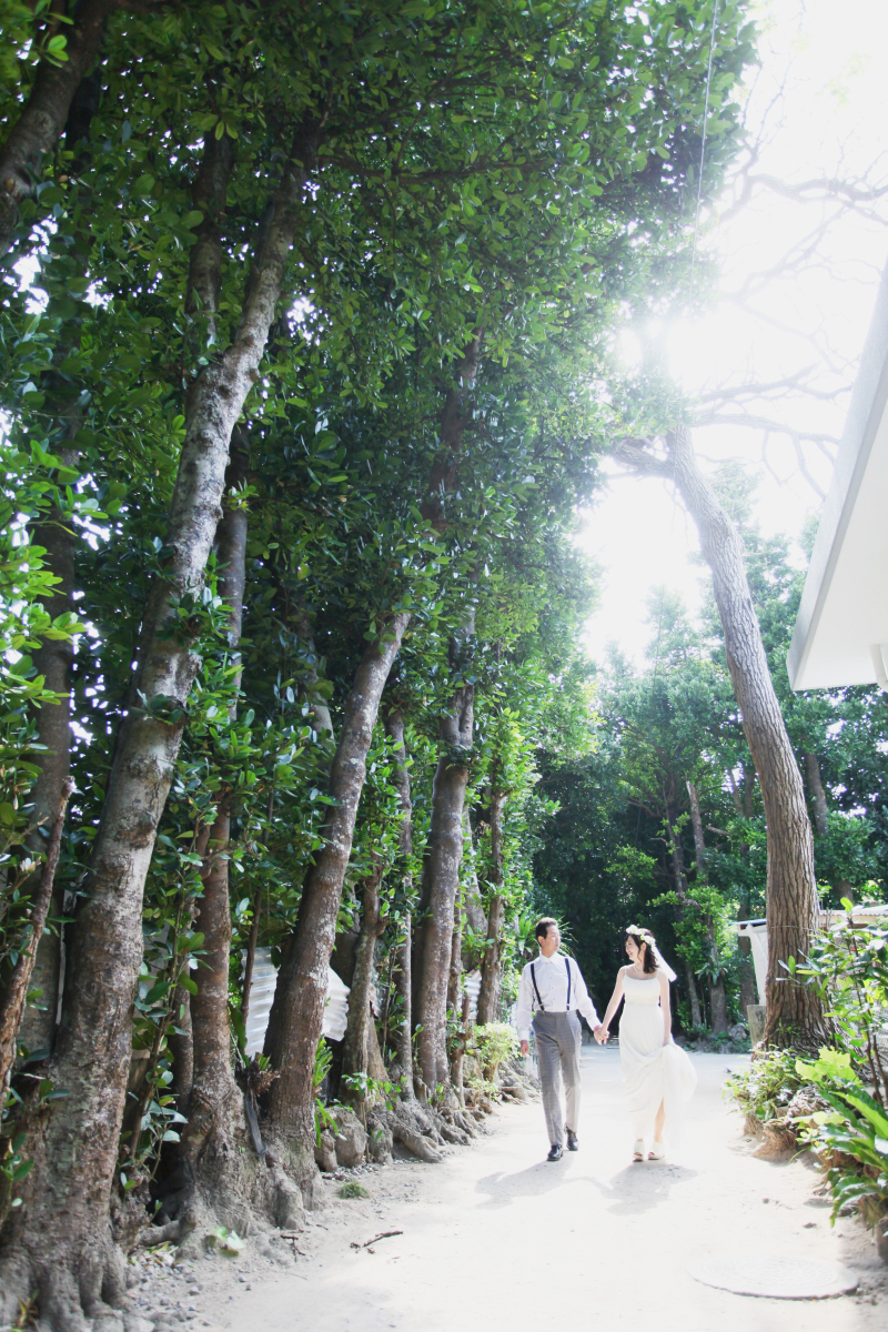 フクギ並木を散策