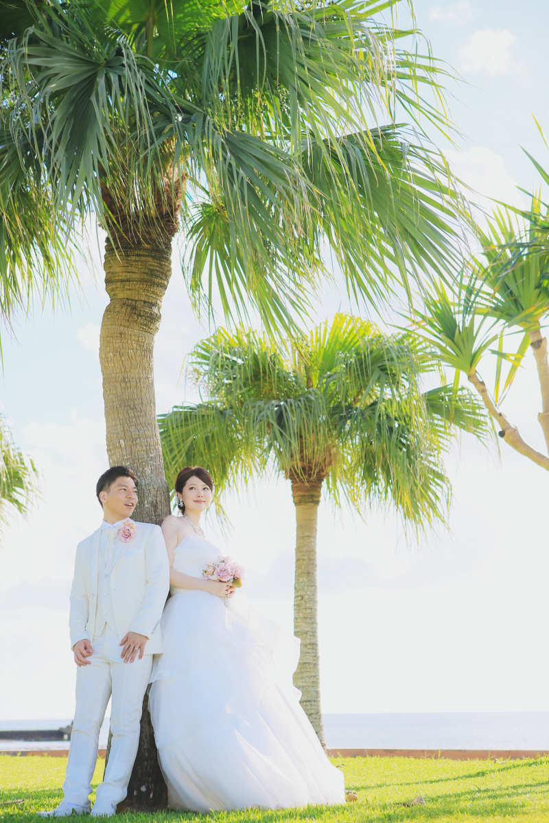 大きなヤシの木の下で