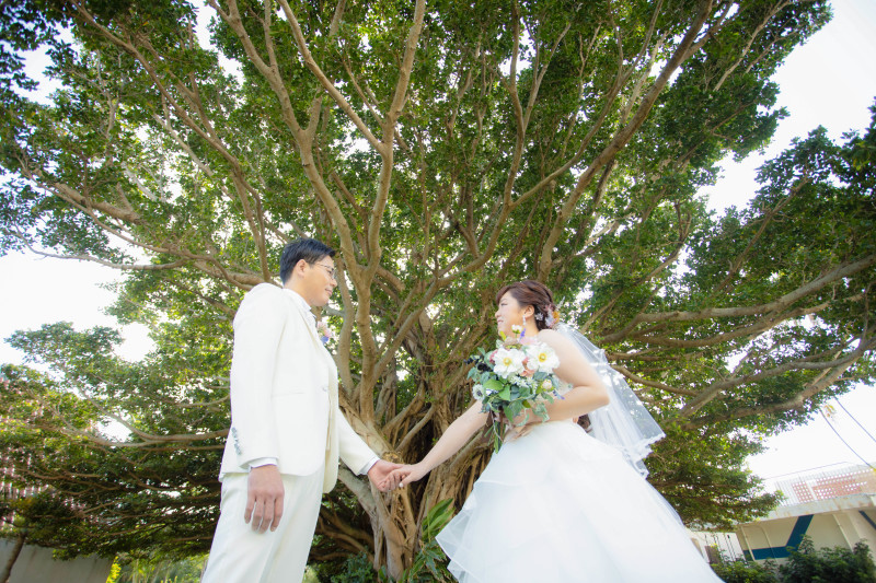 ＊ガジュマルの木＊