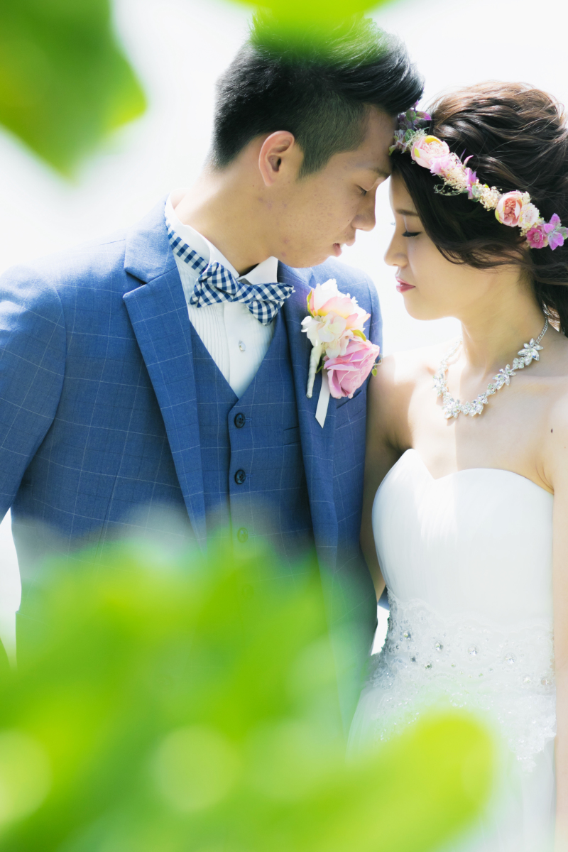 【グリーン撮影】フクギ並木　東京都　Ｙ様