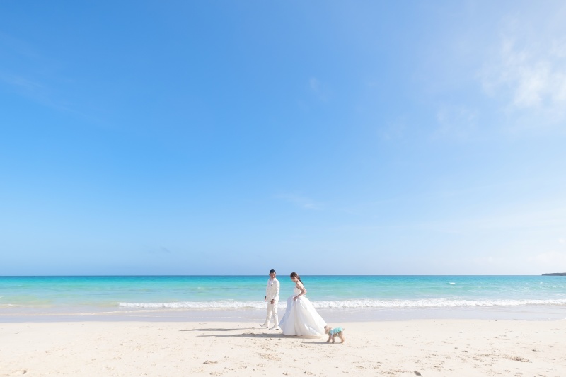 沖縄フォトウェディング　BEREL（ベレール）_ペットと一緒に撮影できる