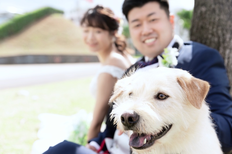 沖縄フォトウェディング　BEREL（ベレール）_ペットと一緒に撮影できる