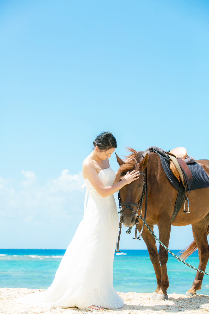 お馬さんと一緒に