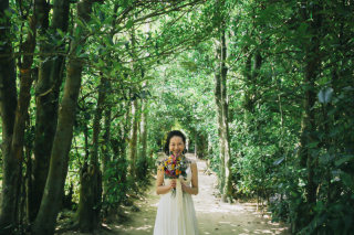 ＊備瀬のフクギ並木＊