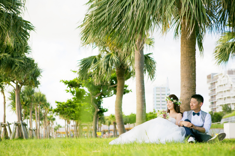 ヤシの木の木陰で