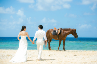 ホースライド撮影