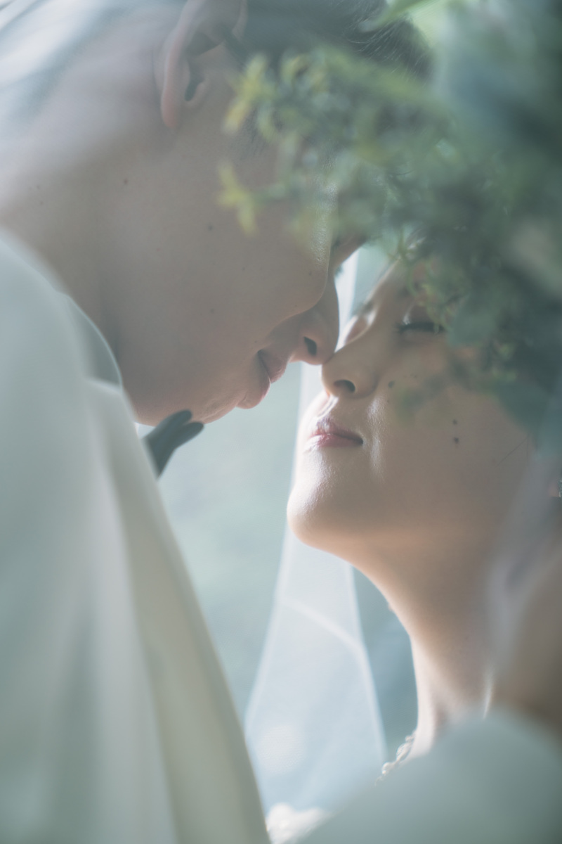 木漏れ日が素敵な照明に