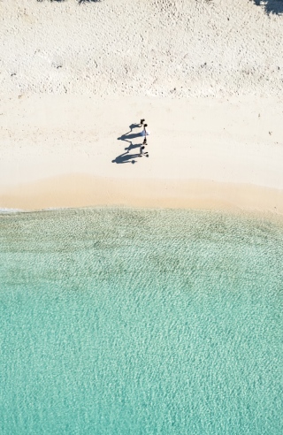 ドローン撮影でダイナミックに