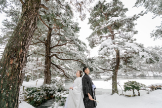 これが新潟の冬