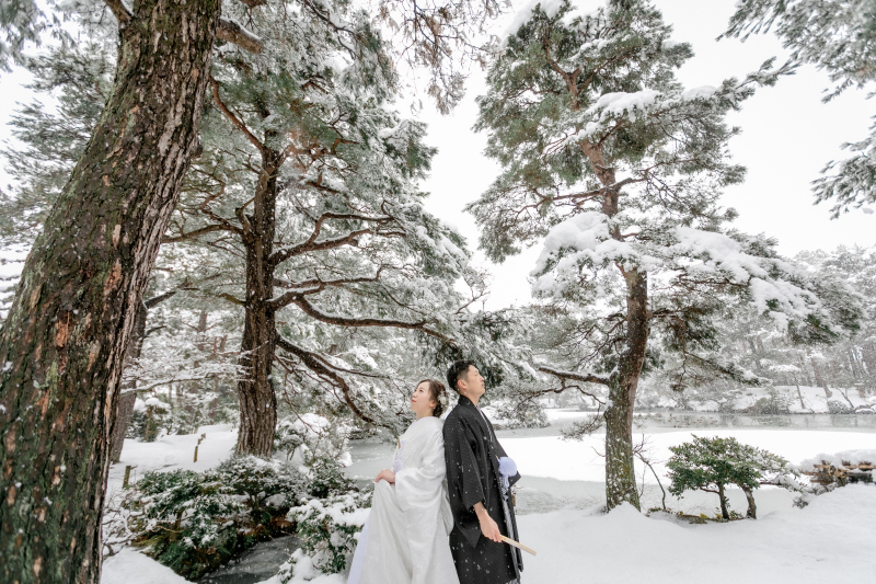 これが新潟の冬